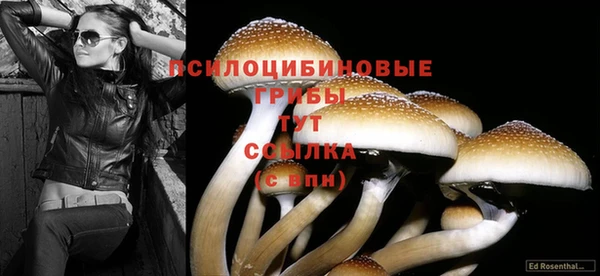 экстази Вязники