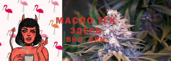 спайс Вяземский