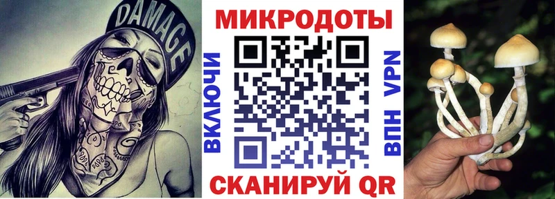 Купить  Михайловка  Галлюциногенные грибы мицелий 